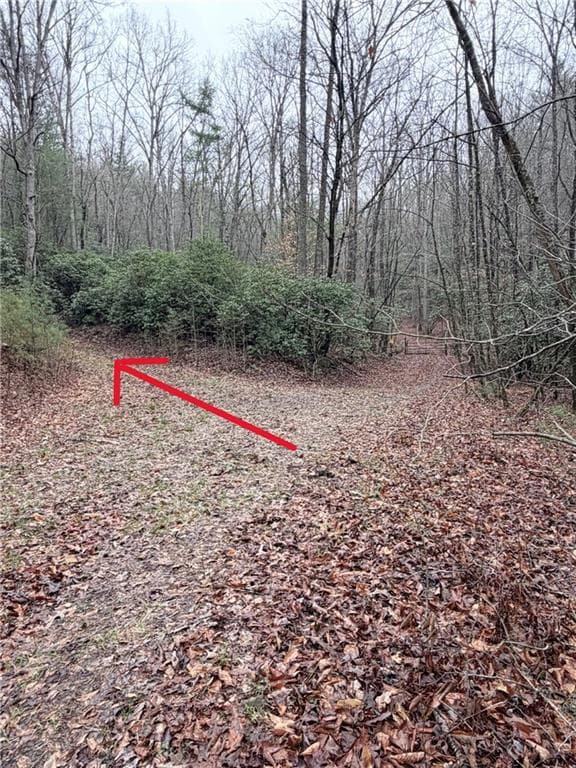 unimproved land for sale at 225 Smallwood Road, Ellijay, GA 30536 — photo 8
