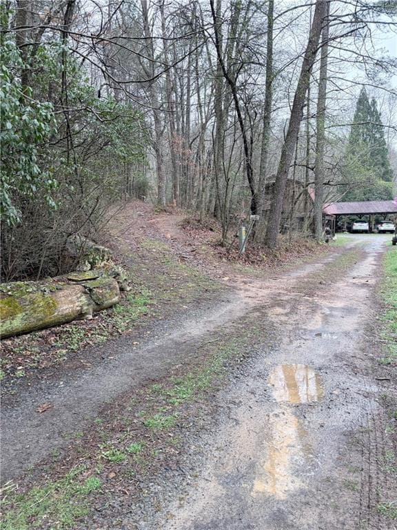 unimproved land for sale at 225 Smallwood Road, Ellijay, GA 30536 — photo 10