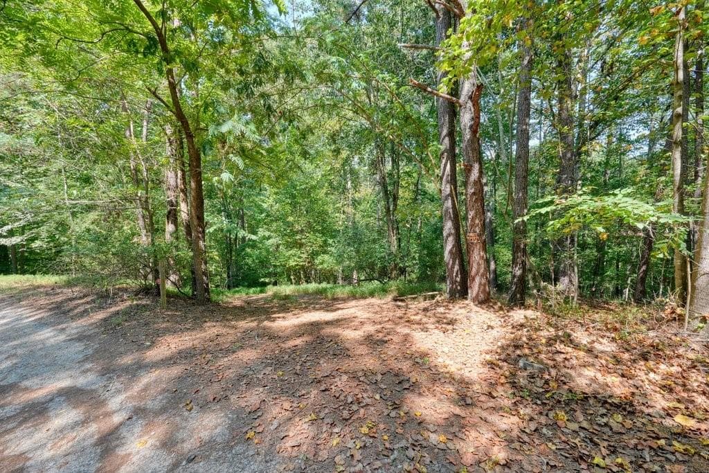 unimproved land for sale at 150 Waleska Woods Court, Waleska, GA 30183 — photo 1 of 12