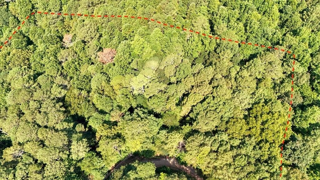 unimproved land for sale at 150 Waleska Woods Court, Waleska, GA 30183 — photo 6
