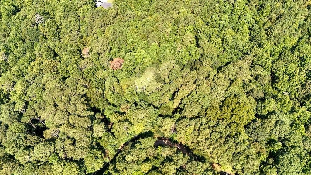 unimproved land for sale at 150 Waleska Woods Court, Waleska, GA 30183 — photo 7