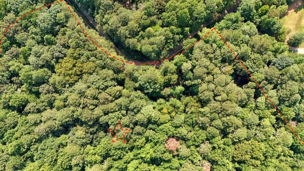 unimproved land for sale at 150 Waleska Woods Court, Waleska, GA 30183 — photo 8