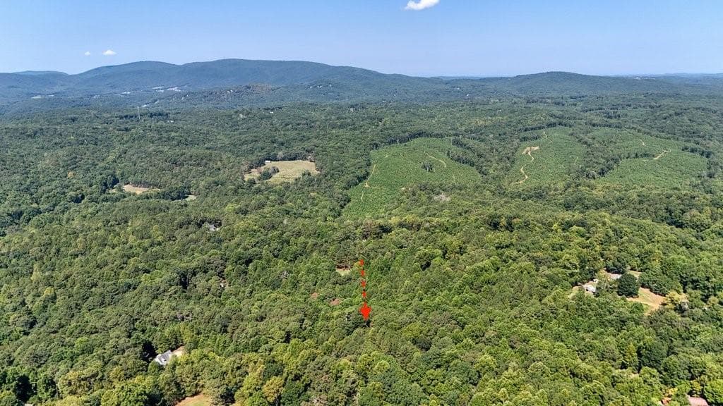 unimproved land for sale at 150 Waleska Woods Court, Waleska, GA 30183 — photo 10