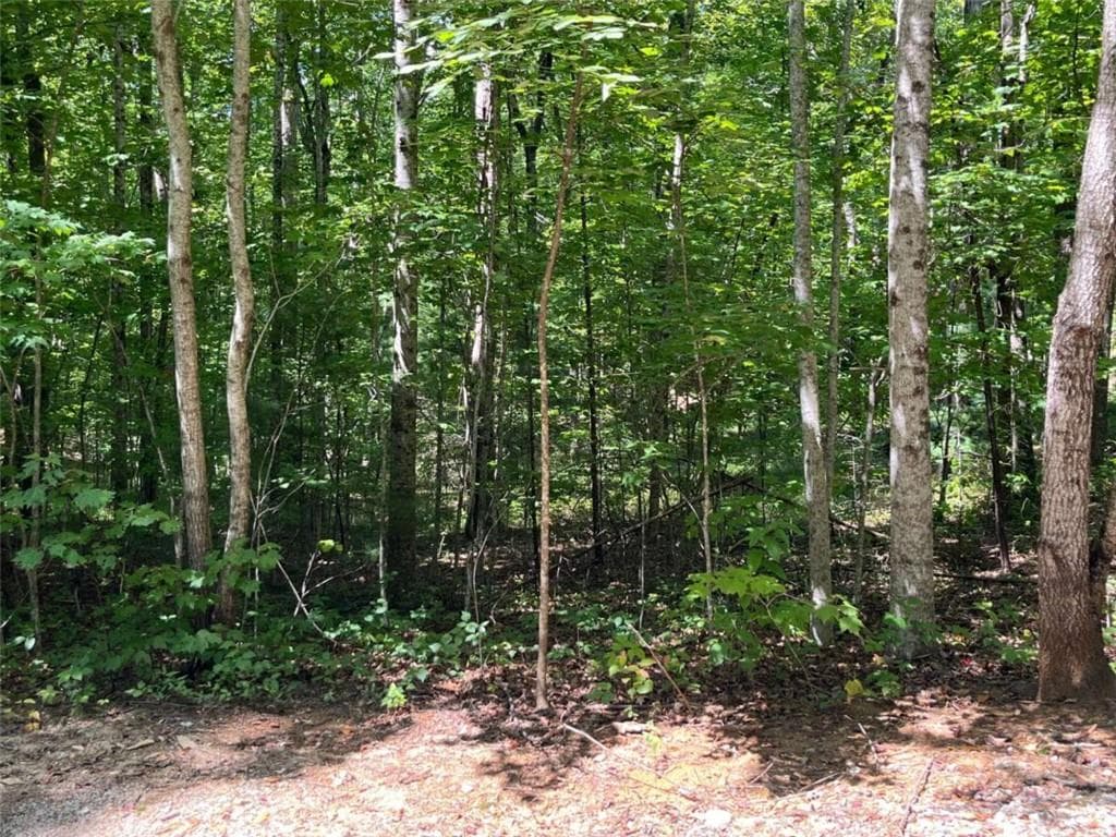 single family residence for sale at LOT 7 Forest Canopy Way, Clayton, GA 30525