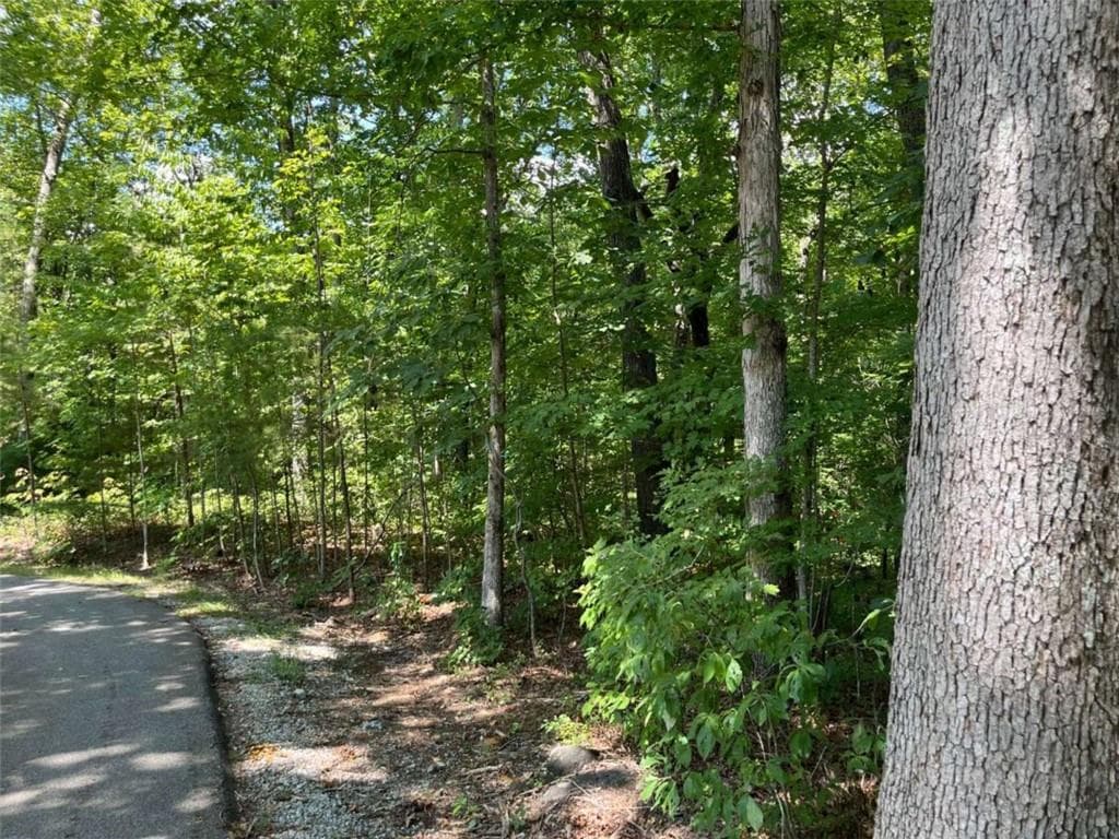 single family residence for sale at LOT 7 Forest Canopy Way, Clayton, GA 30525 — photo 4