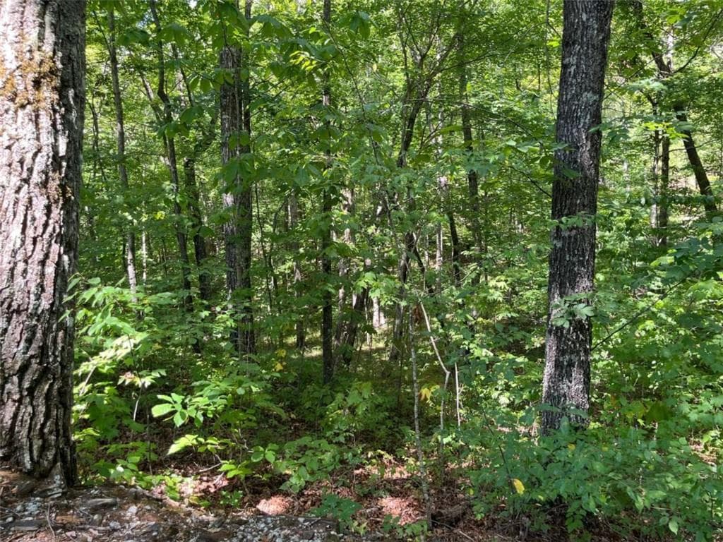 single family residence for sale at LOT 7 Forest Canopy Way, Clayton, GA 30525 — photo 5