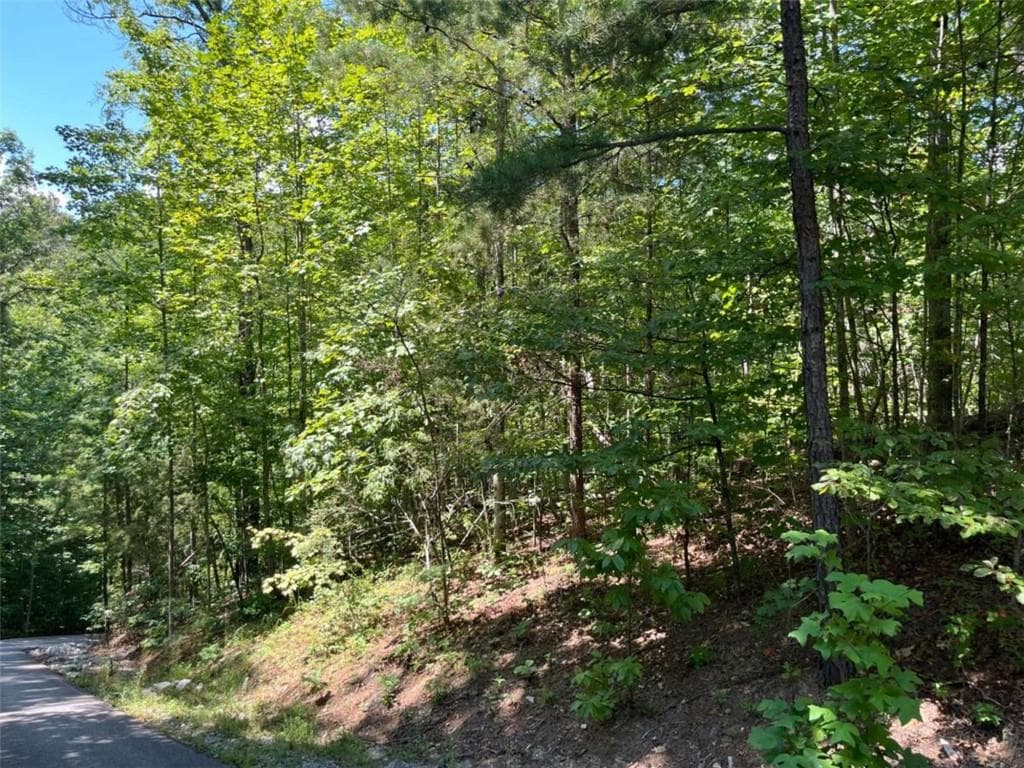 single family residence for sale at LOT 7 Forest Canopy Way, Clayton, GA 30525 — photo 6
