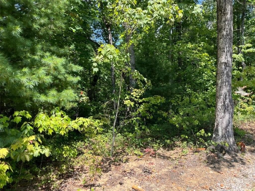 single family residence for sale at LOT 7 Forest Canopy Way, Clayton, GA 30525 — photo 7