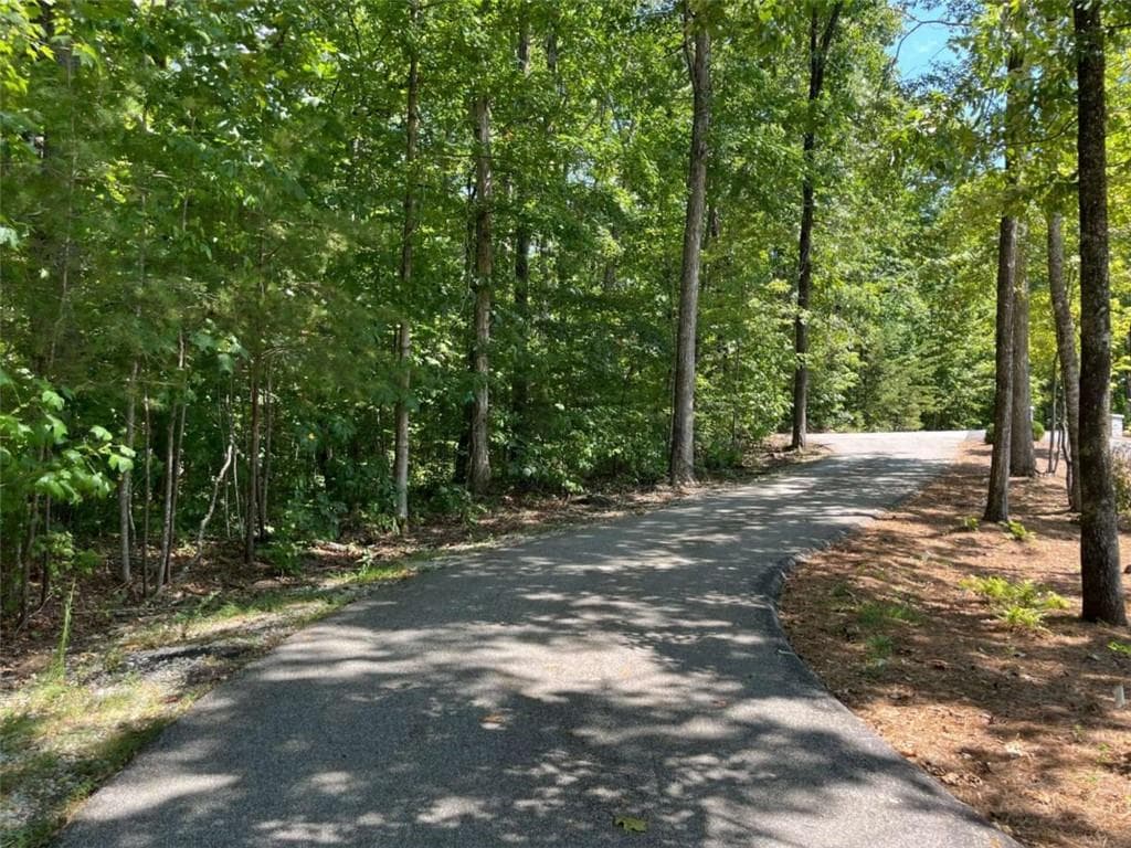 single family residence for sale at LOT 7 Forest Canopy Way, Clayton, GA 30525 — photo 8