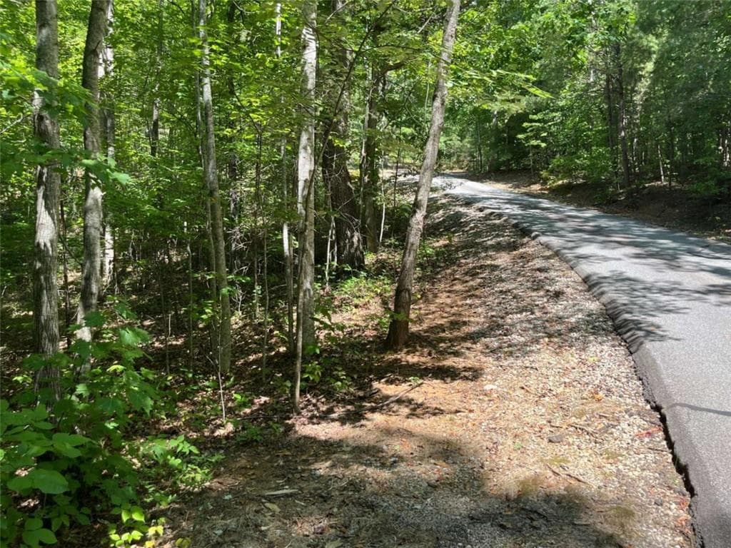 single family residence for sale at LOT 7 Forest Canopy Way, Clayton, GA 30525 — photo 9