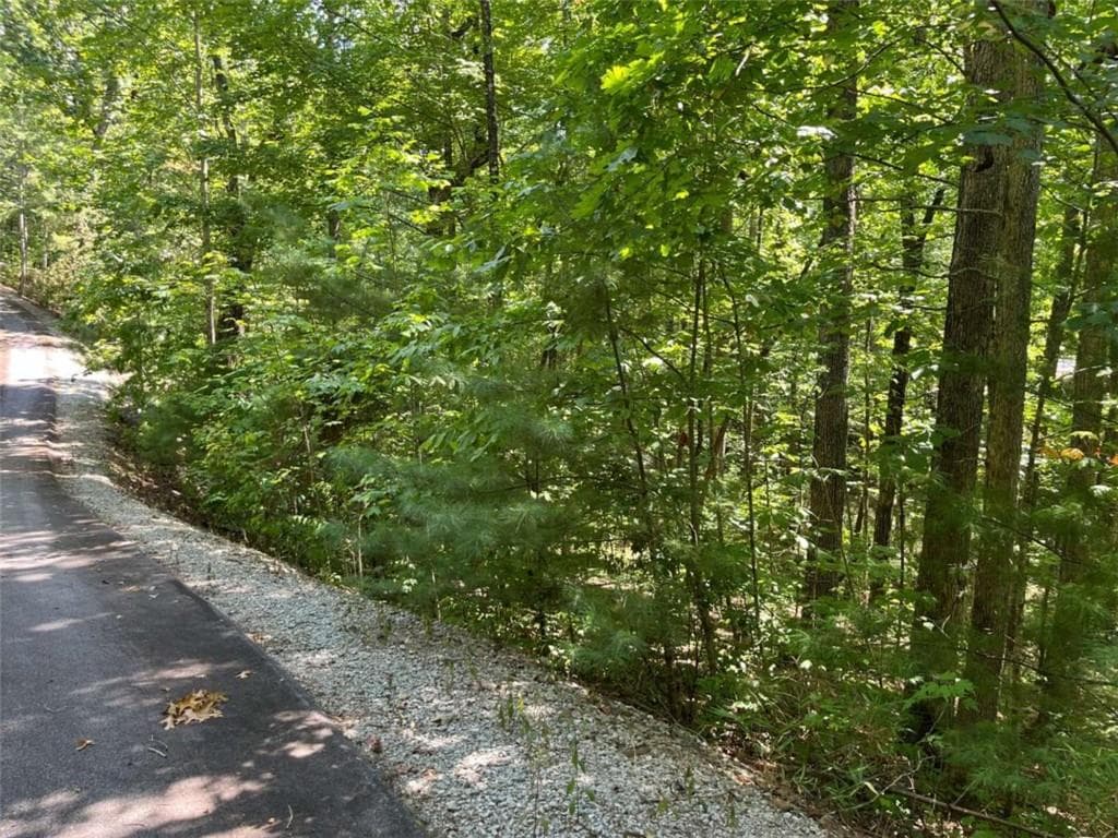single family residence for sale at LOT 7 Forest Canopy Way, Clayton, GA 30525 — photo 10