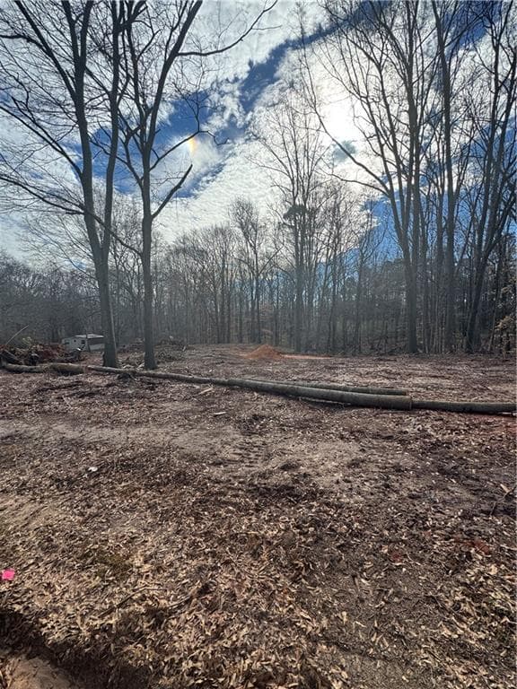 other for sale at 231 Roosevelt Circle, Bowman, GA 30624 — photo 2
