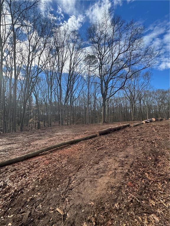 other for sale at 231 Roosevelt Circle, Bowman, GA 30624 — photo 3