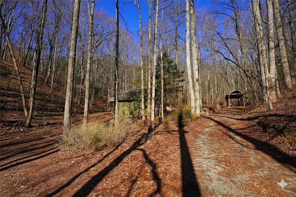 4 bedroom, 2 bathroom, 1,512 sq ft single family residence for sale at 172 Sweetwater Road, Blue Ridge, GA 30513 — photo 5