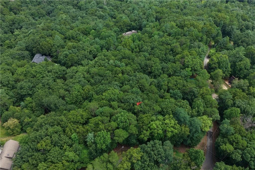 unimproved land for sale at 34 Laurel Ridge Drive, Ellijay, GA 30536 — photo 2