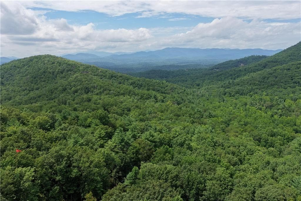unimproved land for sale at 34 Laurel Ridge Drive, Ellijay, GA 30536 — photo 3