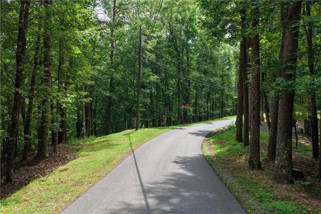 unimproved land for sale at 34 Laurel Ridge Drive, Ellijay, GA 30536 — photo 4