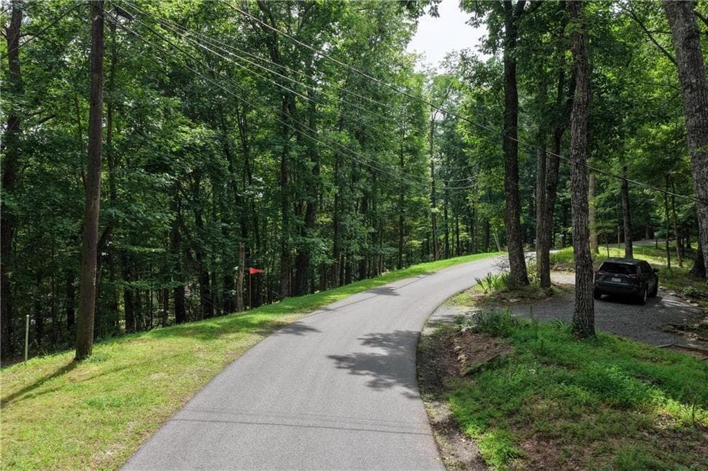 unimproved land for sale at 34 Laurel Ridge Drive, Ellijay, GA 30536 — photo 5