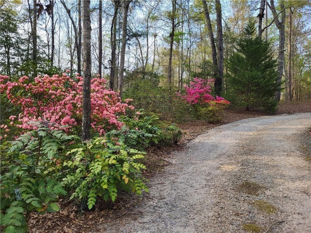 3 bedroom, 3 bathroom, 2,065 sq ft single family residence for sale at 1555 Maple Ridge Drive, Loganville, GA 30052 — photo 8