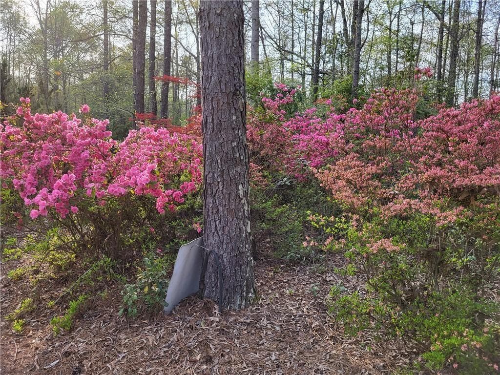3 bedroom, 3 bathroom, 2,065 sq ft single family residence for sale at 1555 Maple Ridge Drive, Loganville, GA 30052 — photo 10