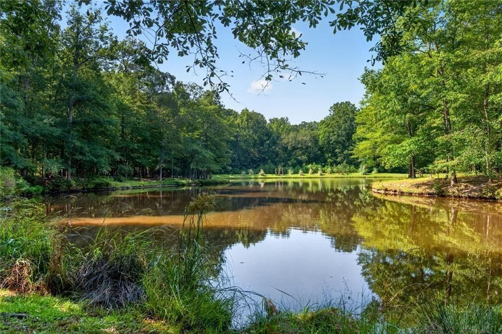 4 bedroom, 4 bathroom other for sale at 961 Birdie Road, Griffin, GA 30223 — photo 6