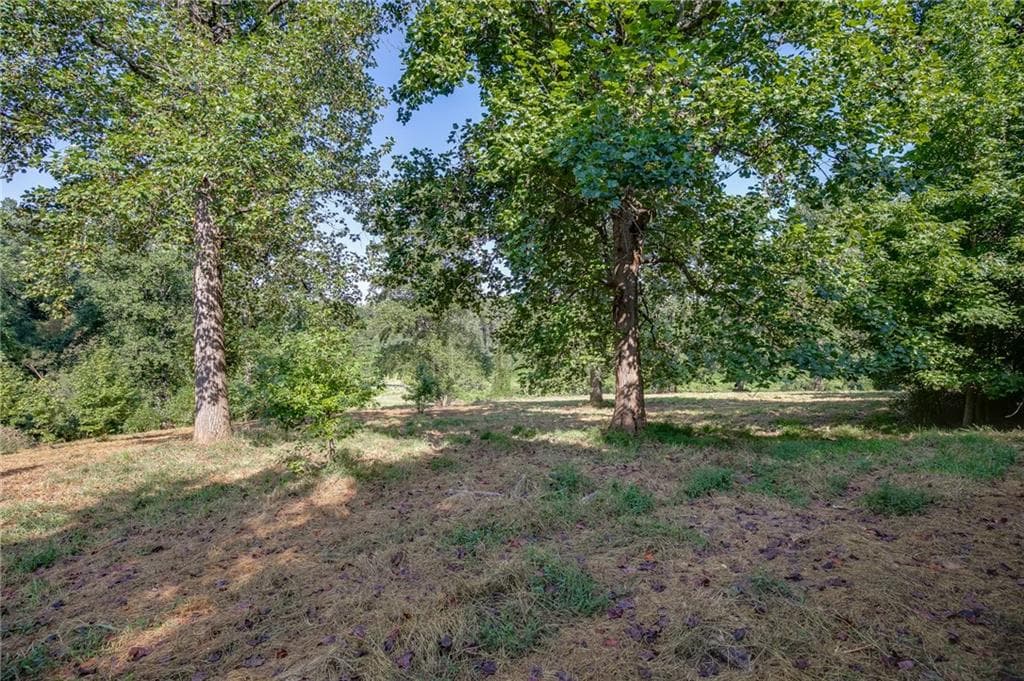 unimproved land for sale at 0 Hendrix Road, Cumming, GA 30040 — photo 8