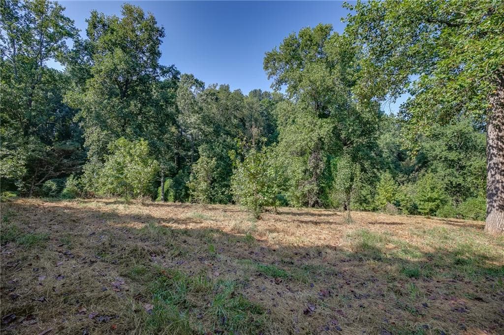 unimproved land for sale at 0 Hendrix Road, Cumming, GA 30040 — photo 9