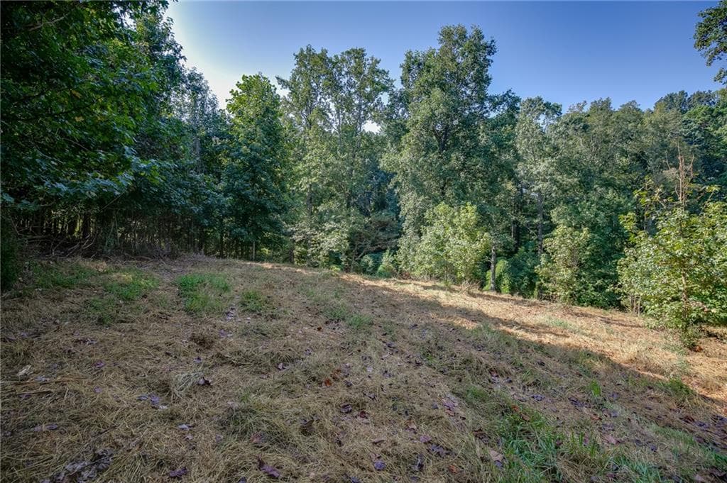 unimproved land for sale at 0 Hendrix Road, Cumming, GA 30040 — photo 10
