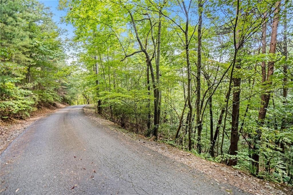 unimproved land for sale at 0 Woodland Court, Ellijay, GA 30536 — photo 2