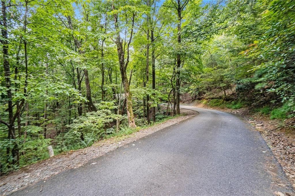 unimproved land for sale at 0 Woodland Court, Ellijay, GA 30536 — photo 3