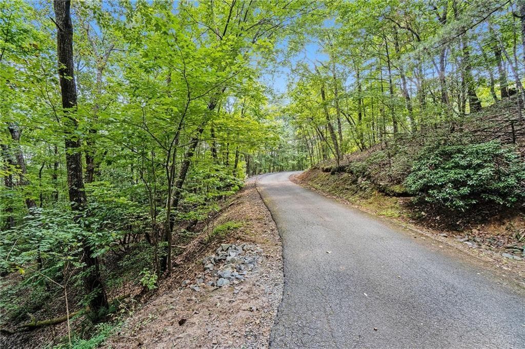 unimproved land for sale at 0 Woodland Court, Ellijay, GA 30536 — photo 4
