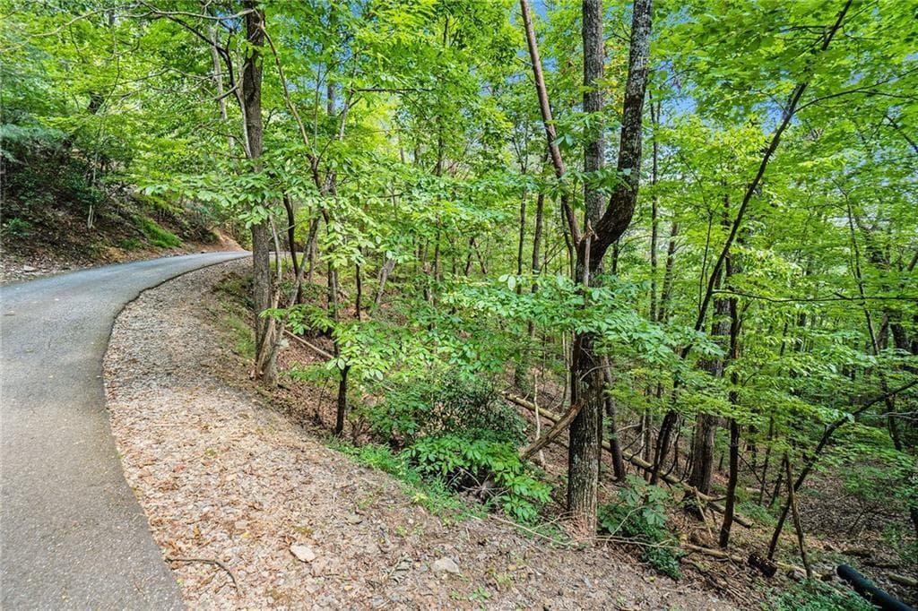 unimproved land for sale at 0 Woodland Court, Ellijay, GA 30536 — photo 5