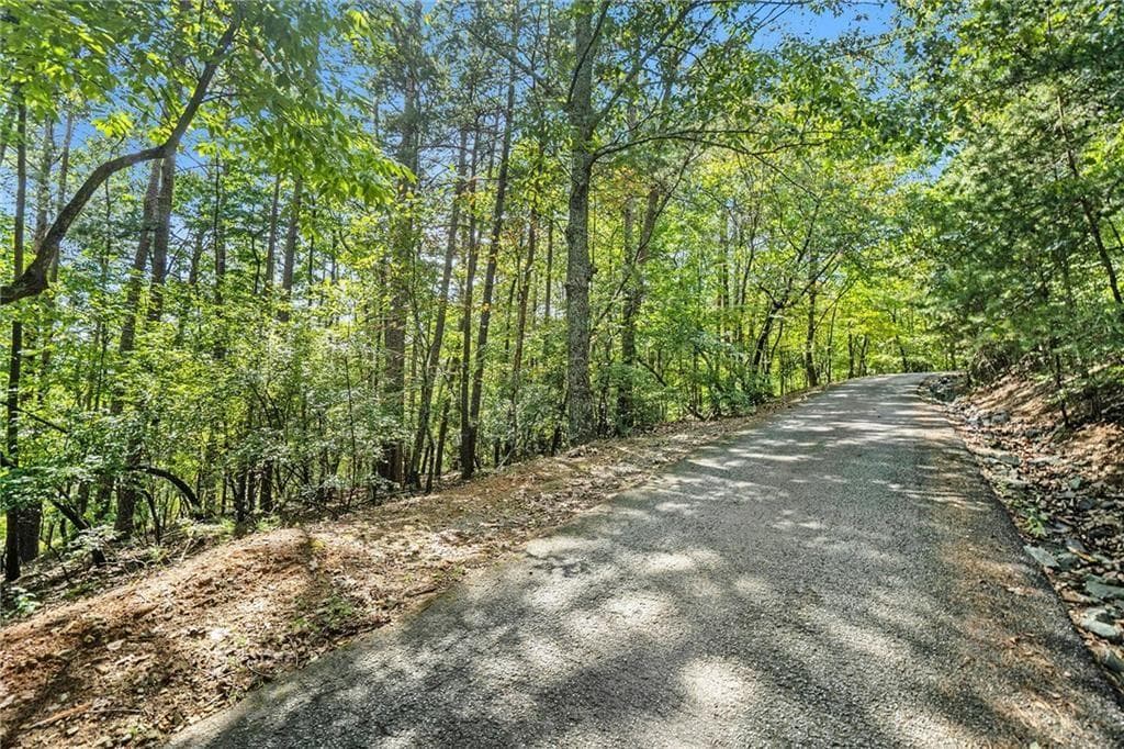 unimproved land for sale at 0 Woodland Court, Ellijay, GA 30536 — photo 6