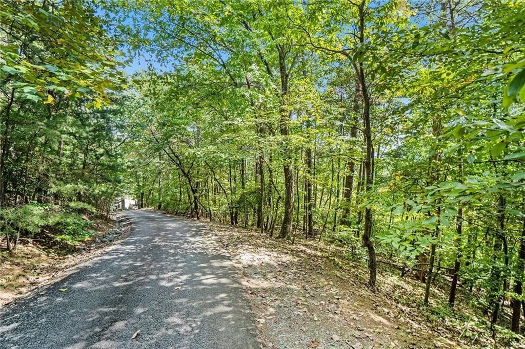 unimproved land for sale at 0 Woodland Court, Ellijay, GA 30536 — photo 7
