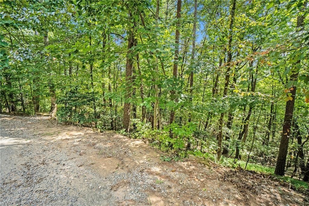 unimproved land for sale at 0 Woodland Court, Ellijay, GA 30536 — photo 8