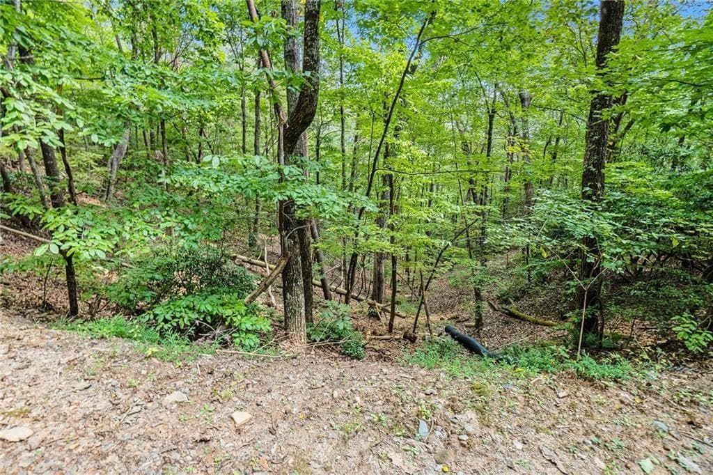 unimproved land for sale at 0 Woodland Court, Ellijay, GA 30536 — photo 9