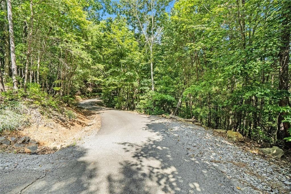 unimproved land for sale at 0 Woodland Court, Ellijay, GA 30536 — photo 10