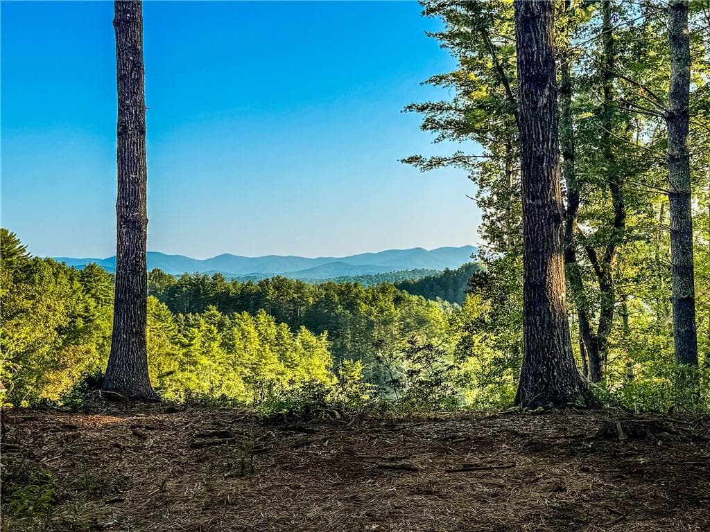 home for sale at 0 River Flow Drive, Dahlonega, GA