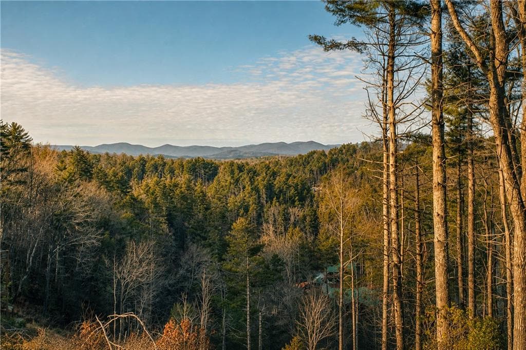 single family residence for sale at 0 River Flow Drive, Dahlonega, GA 30533 — photo 2