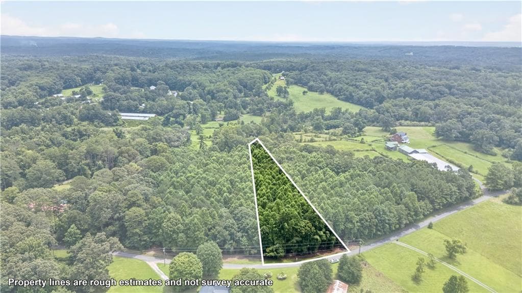 unimproved land for sale at 0 Henry Turner Trail, Ball Ground, GA 30107 — photo 3