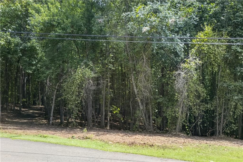 unimproved land for sale at 0 Henry Turner Trail, Ball Ground, GA 30107 — photo 5