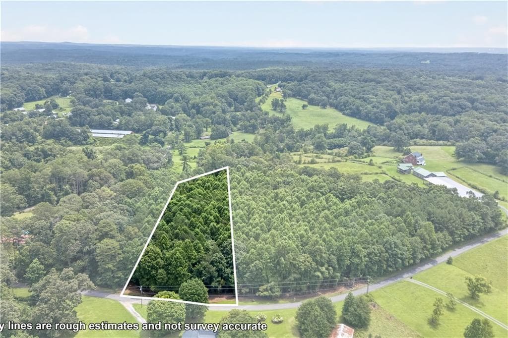 unimproved land for sale at 0 Henry Turner Trail, Ball Ground, GA 30107 — photo 2