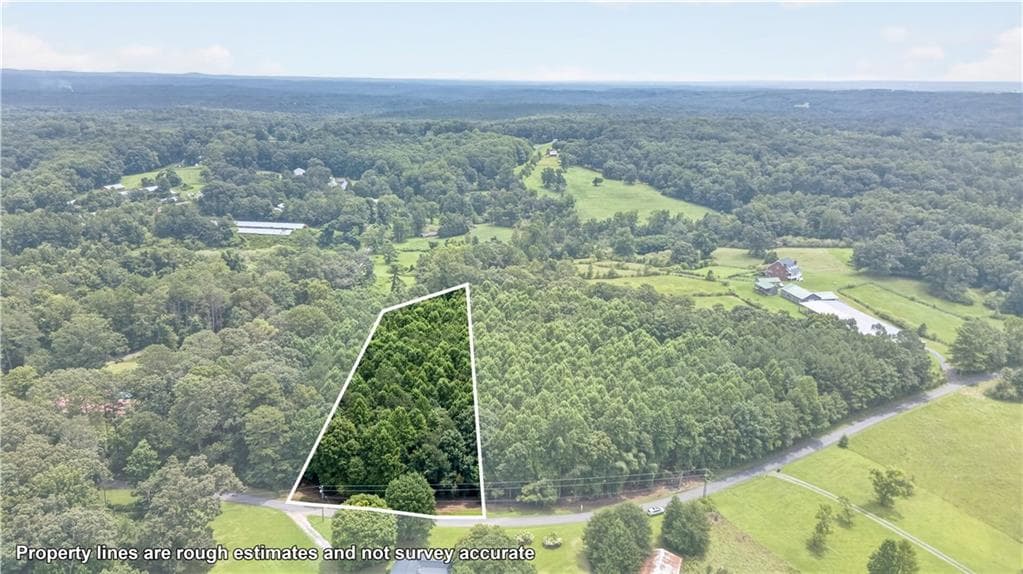 unimproved land for sale at 0 Henry Turner Trail, Ball Ground, GA 30107 — photo 4