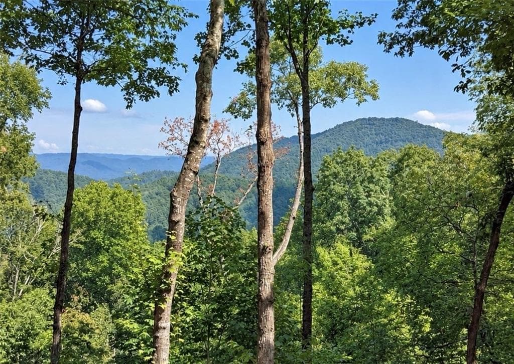 3 bedroom, 2 bathroom, 1,970 sq ft single family residence for sale at 778 Walnut Mountain Road, Ellijay, GA 30536 — photo 2