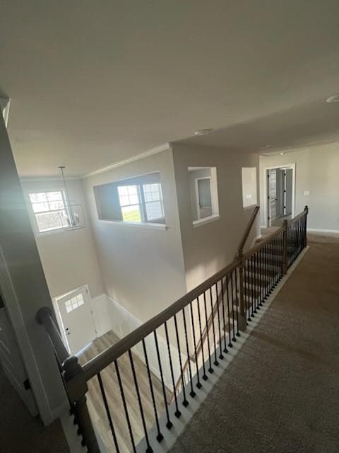 5 bedroom, 5 bathroom, 3,744 sq ft single family residence for sale at 1734 Cadence Street, Locust Grove, GA 30248 — photo 10