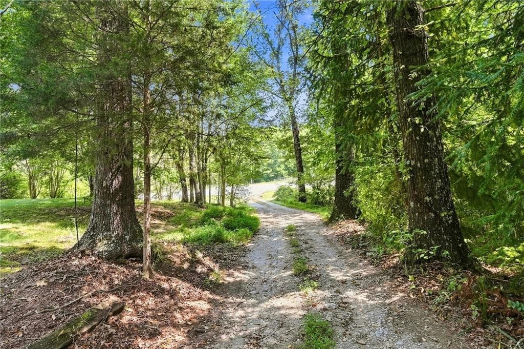 4 bedroom, 3 bathroom, 2,552 sq ft single family residence for sale at 7018 Highway 27, Buchanan, GA 30113 — photo 4