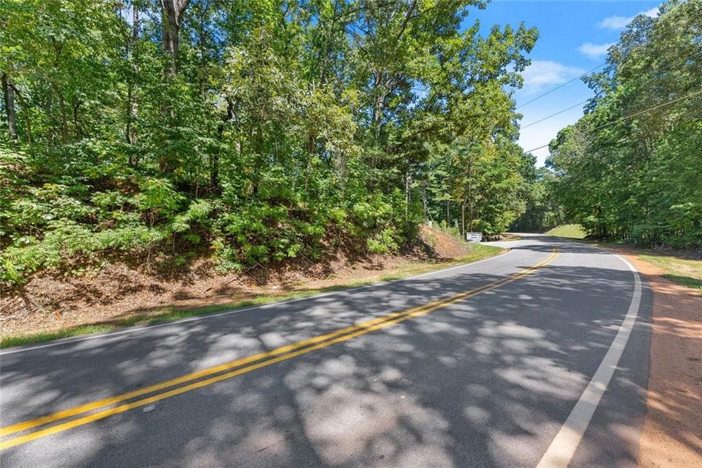 unimproved land for sale at 0 Holly Springs Road, Toccoa, GA 30577 — photo 3