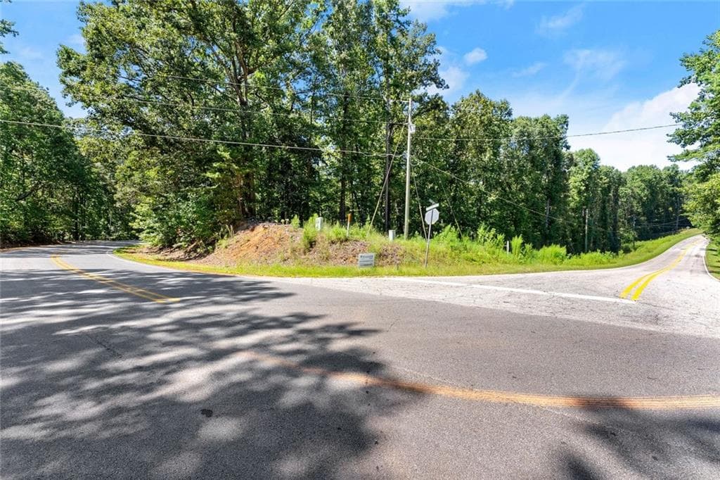 unimproved land for sale at 0 Holly Springs Road, Toccoa, GA 30577 — photo 4