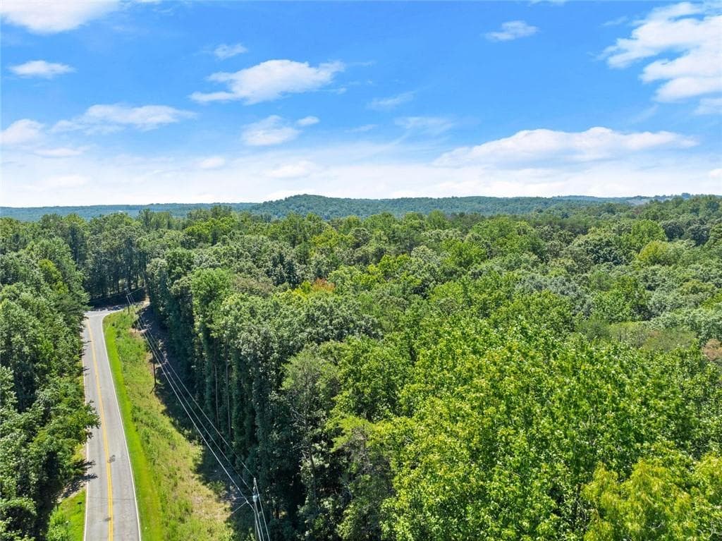 unimproved land for sale at 0 Holly Springs Road, Toccoa, GA 30577 — photo 5