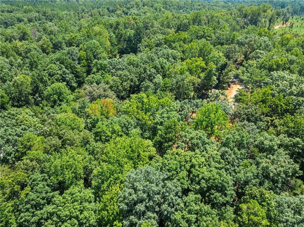 unimproved land for sale at 0 Holly Springs Road, Toccoa, GA 30577 — photo 7